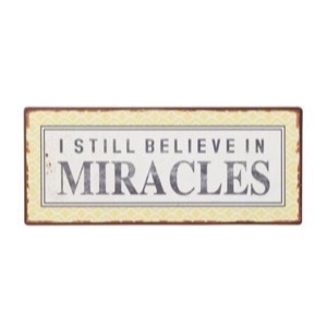 Metal skilt 31x13cm I Still Believes In Miracles - Se flere Metal skilte